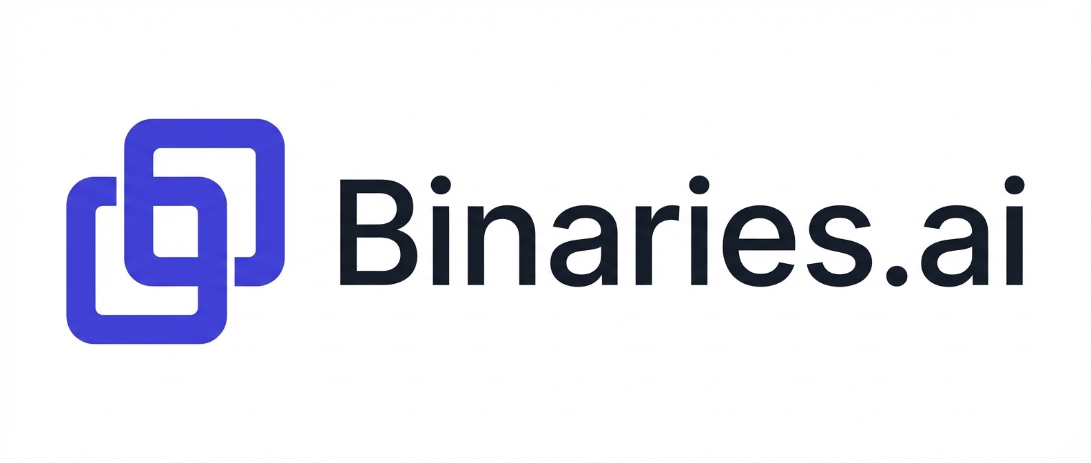 Binaries.ai logo